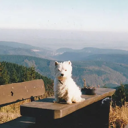Nyaraló Family Theermann Gehlberg