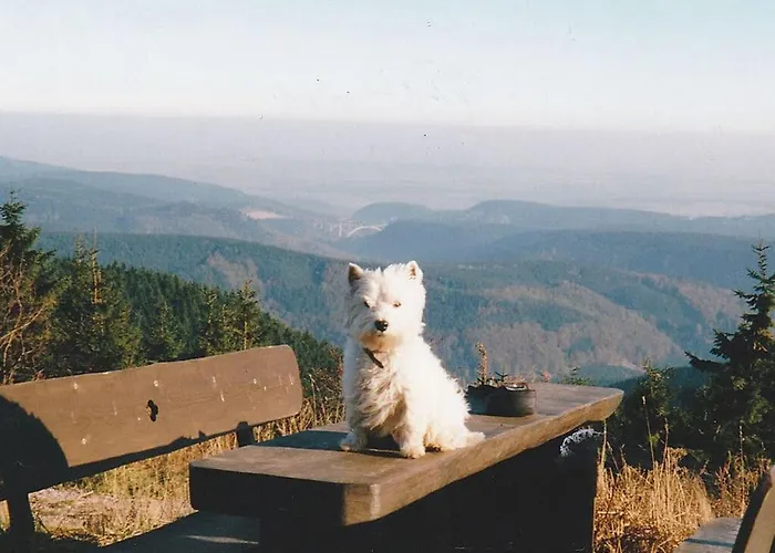Vakantiehuis Family Theermann Gehlberg